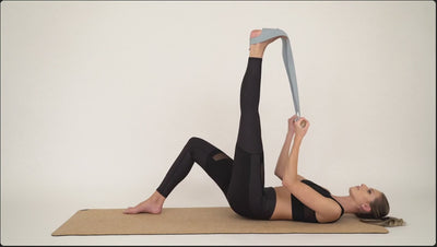 The Stretch Pro